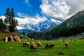 Pakistan